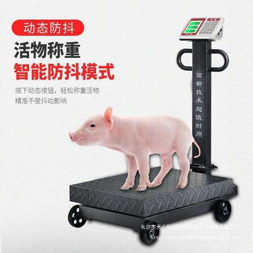 商用带轮600公斤电子秤1000kg磅秤防抖防潮防爆500计价大秤台秤