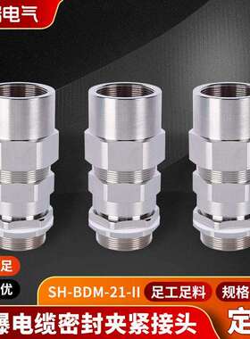 不锈钢铠装防爆格兰头SH-BDM-21-II隔爆双密封电缆线固定接头