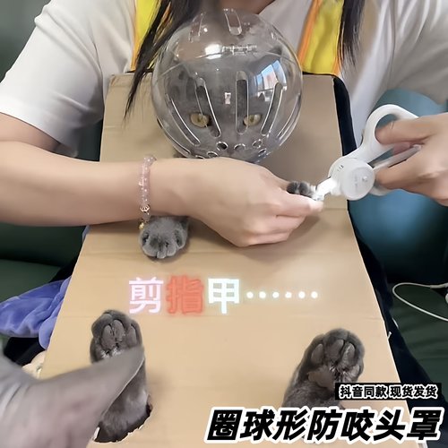 【好物推荐】猫咪伊丽莎