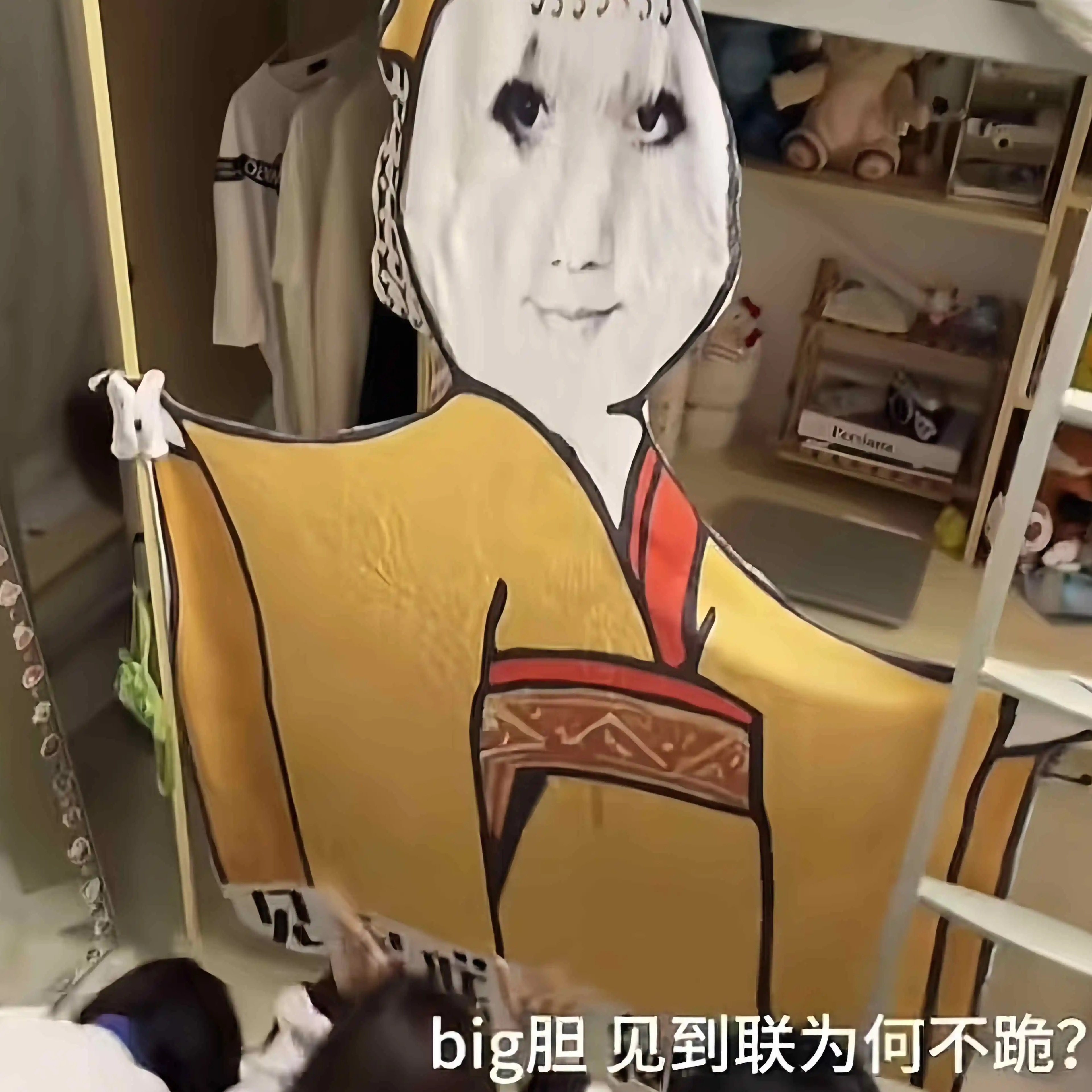 夏季空调毯龙图见朕为何