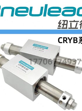 偶25--0/磁010-150-纽立得1650式C0RY-BY/300无杆气缸C/10020RR0