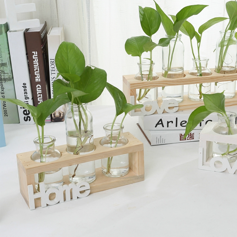 创意水培花瓶绿萝透明玻璃插花容器HOME家居餐客厅电视柜装饰摆件