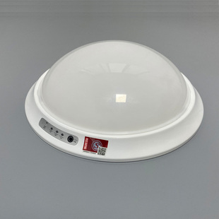 消防应急吸顶灯疏散通道照明灯led光源感应应急灯声控人体感应灯