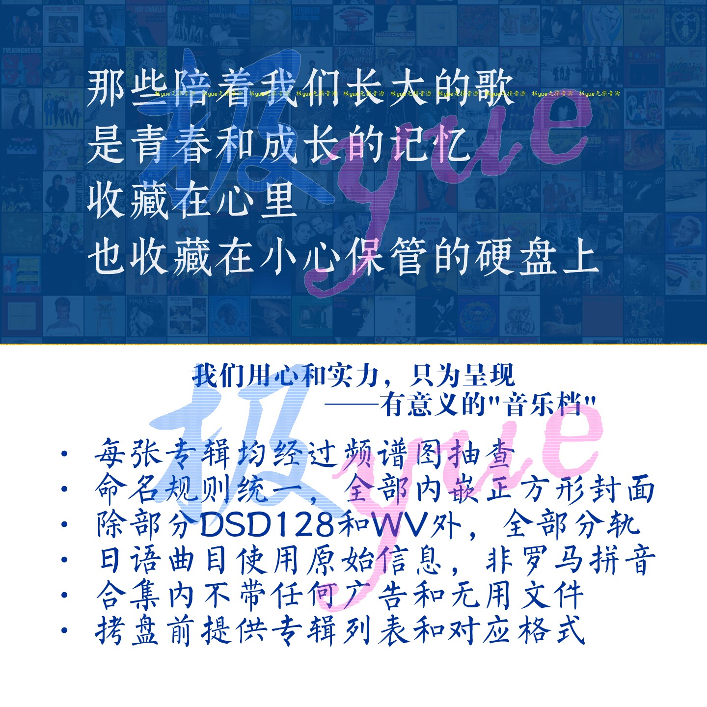 代拷贝硬盘/裸盘/u盘/TF卡软音源