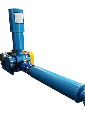 三叶罗茨鼓风机DASR100主机水产养殖污水处理脱硫脱硝罗茨鼓风机