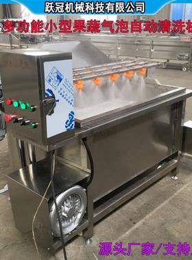 辣椒气泡清洗机中药材翻筐喷淋清洗设备小型自动倒料净菜清洗设备