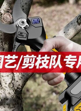 德国进口进口原装充电式电动修枝剪树剪果树专用无线锂电多功能剪