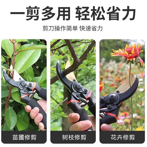 精工艺园剪刀绿萝剪修枝专用剪园林果树修花家用强力大号粗枝剪子