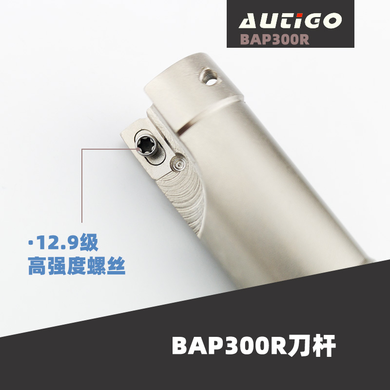 AUTIGO 数控铣刀杆 BAP300R 加硬抗震立铣刀杆 90度21/17R0.8直角