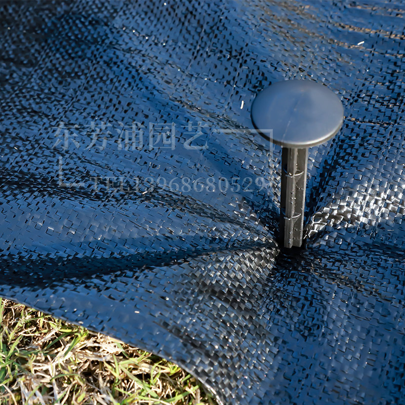 塑料地钉大棚用于温室防虫网遮阳网农用园艺防草地布固定黑色钉子,鲜花速递/花卉仿真/绿植园艺,其它园艺用品,淘宝优惠券,粉丝福利购,淘宝优惠卷