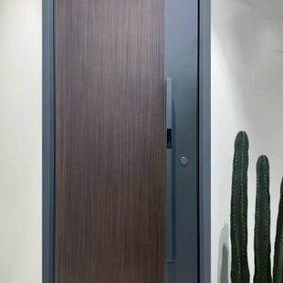 轻奢木纹甲级入户子母门家用定制别墅大门智能防盗门 2023年新款