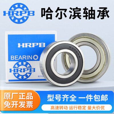 160哈尔滨19型号RS  2016 602  ZZ607606018深沟球轴承 大全 高速