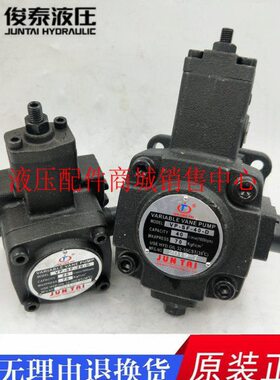 SS泰--D 20 PP/F-/ P-F-F-12302040VD--俊--D油泵15叶片泵PSVVV