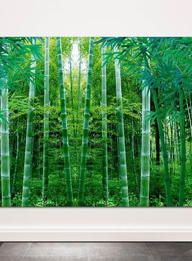 绿色竹子竹林竹报平安富贵竹沙发电视背景墙客厅卧室墙贴风景壁画
