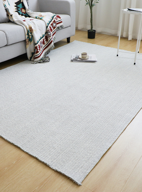 塞尚简约风浅灰色棉麻地毯客厅极简大气高级感双面编织茶几毯定制