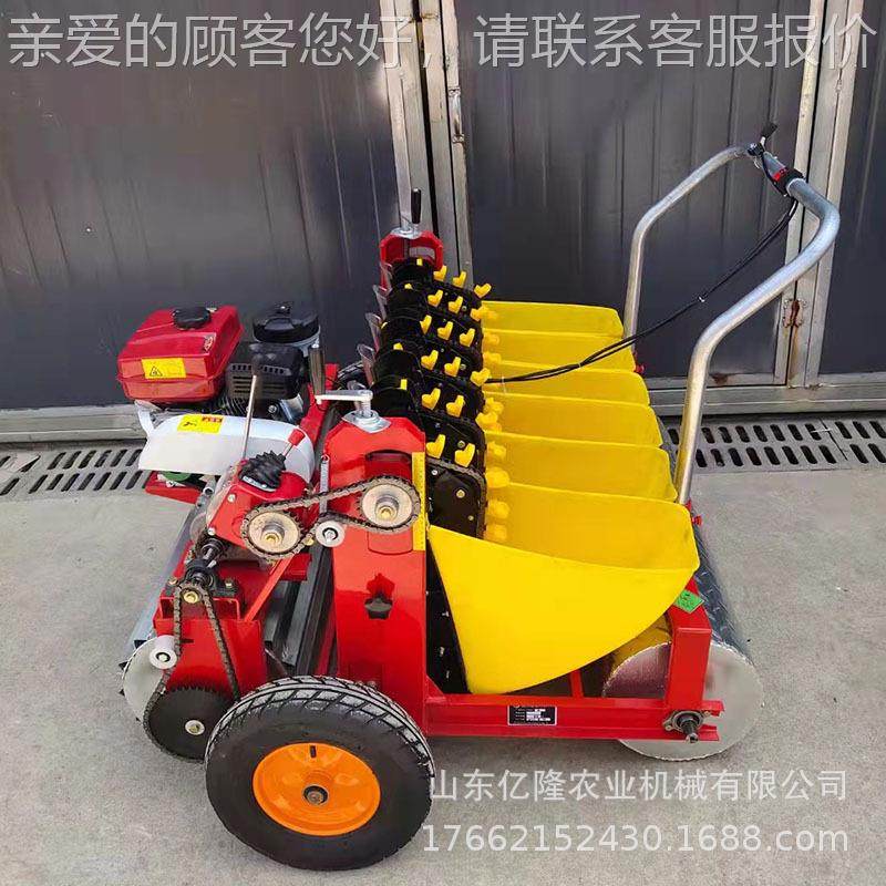 蒜播种机型号6行 大播蒜种植YL-BZJ机 小型的蒜瓣大精机