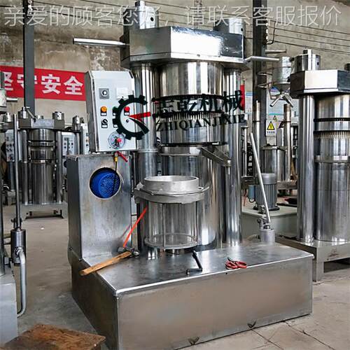 籽液压芝机麻榨油机10公LRV斤液压炸油机 核桃压油 胡麻榨油 机