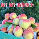 红不软脆桃 山西运城临猗红不软脆水蜜桃子现摘现发产地直发