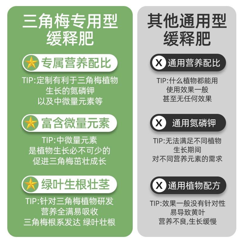 三角梅专用缓释肥梅花盆栽促开花肥料家用花卉植物通用颗粒复合肥,鲜花速递/花卉仿真/绿植园艺,家庭园艺肥料,淘宝优惠券,粉丝福利购,淘宝优惠卷