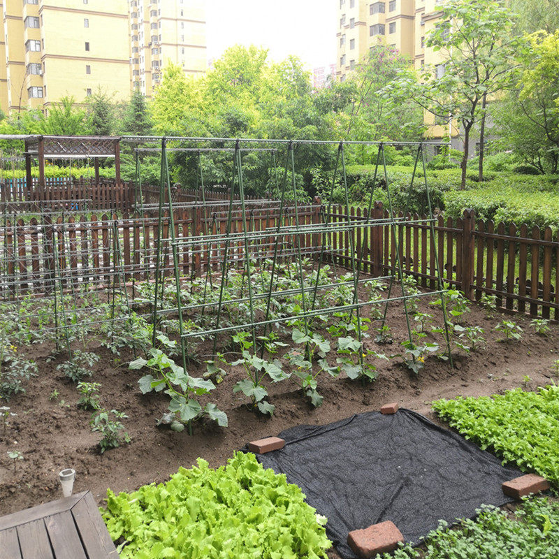 楼顶花园爬藤架庭院植物豆角黄瓜爬藤杆牵引固定包塑钢管园艺支架,鲜花速递/花卉仿真/绿植园艺,花架,淘宝优惠券,粉丝福利购,淘宝优惠卷