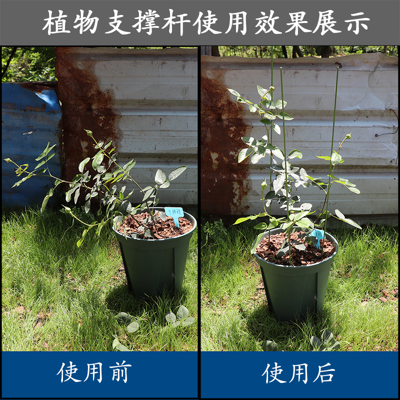 园艺包塑铁丝支架月季绣球兰花爬藤架花卉支柱植物固定防倒支撑杆
