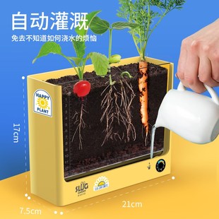 鼻涕虫花园六一儿童节礼物儿童植物观察窗生日礼物种植盆栽