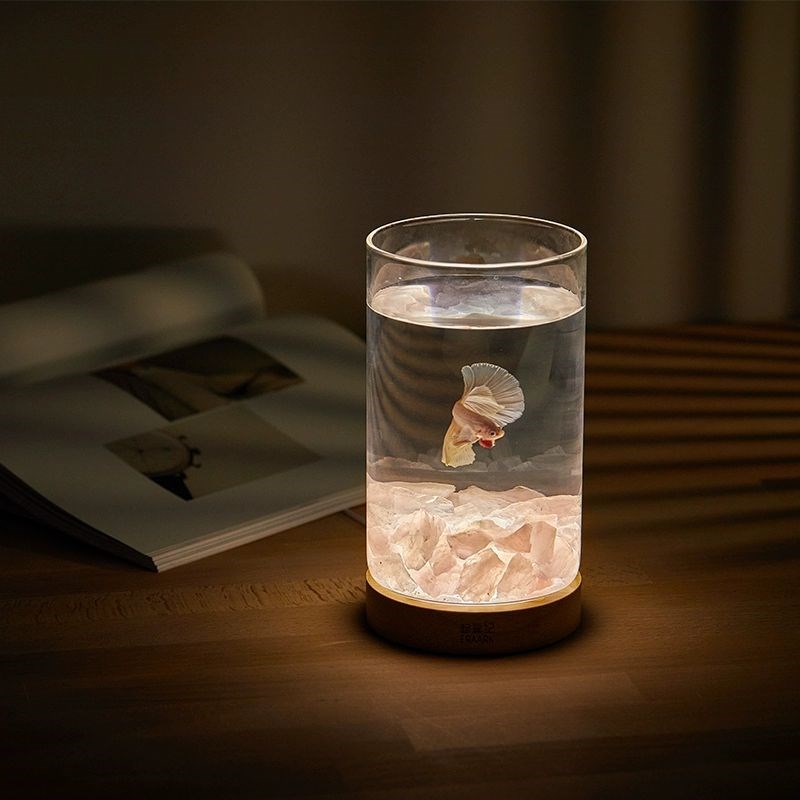 小佩起源纪水晶石斗鱼缸MINI 泰国斗鱼 小型桌面缸创意微景观夜灯