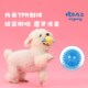 尾巴向上狗狗玩具球小甜狗毛绒玩具球发声弹力巡回耐咬小型犬玩具