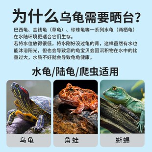 乌龟缸晒台带过滤循环创意迷你爬台龟箱爬坡晒背休息平台造景别墅