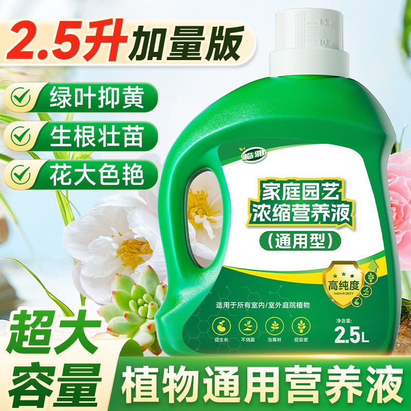 营养液植物通用型富贵竹发财树绿萝专用肥料水培室内盆栽花卉绿植