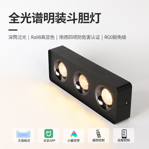 超薄明装射灯客厅卧室走廊led无主灯照明cob无顶吸顶式双头斗胆灯