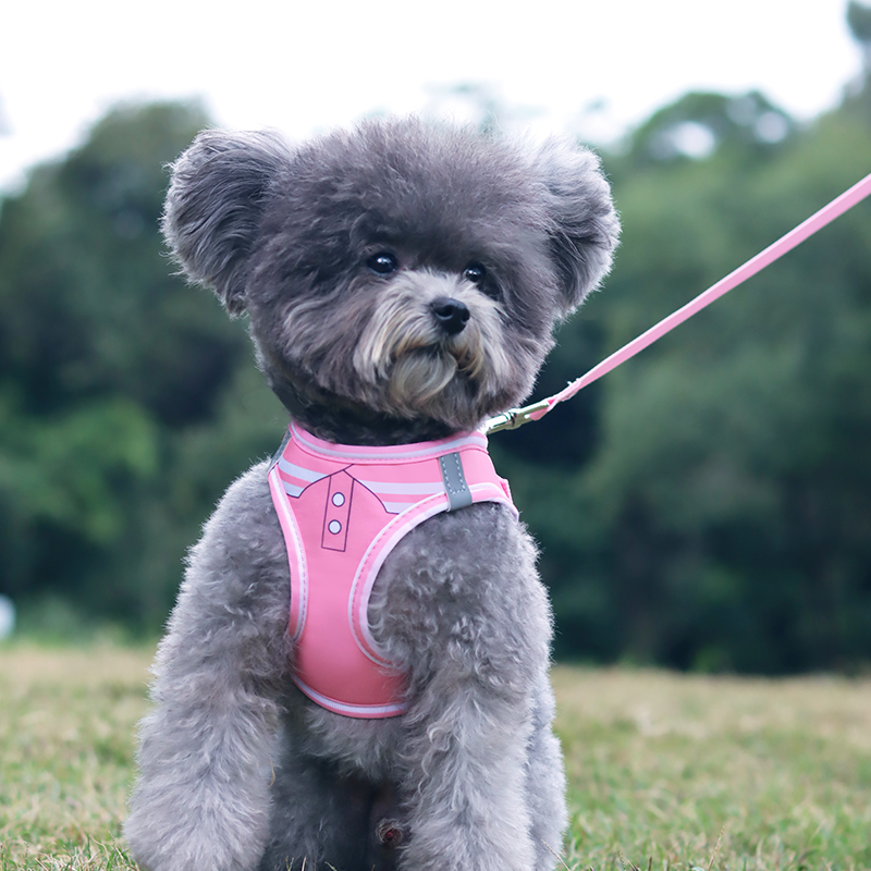 遛狗绳子小型犬狗狗牵引绳背心式狗绳假领胸背带猫咪防挣脱宠物绳