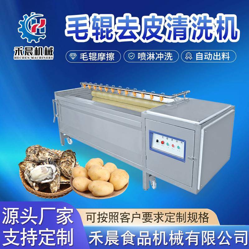 土豆毛辊去皮清洗机根茎类果蔬清洗机藕片红薯大姜毛辊清洗机