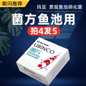 玛豆菌方锦鲤鱼池缓释有益菌庭院景观鱼池鱼缸水质净化清澈稳定剂