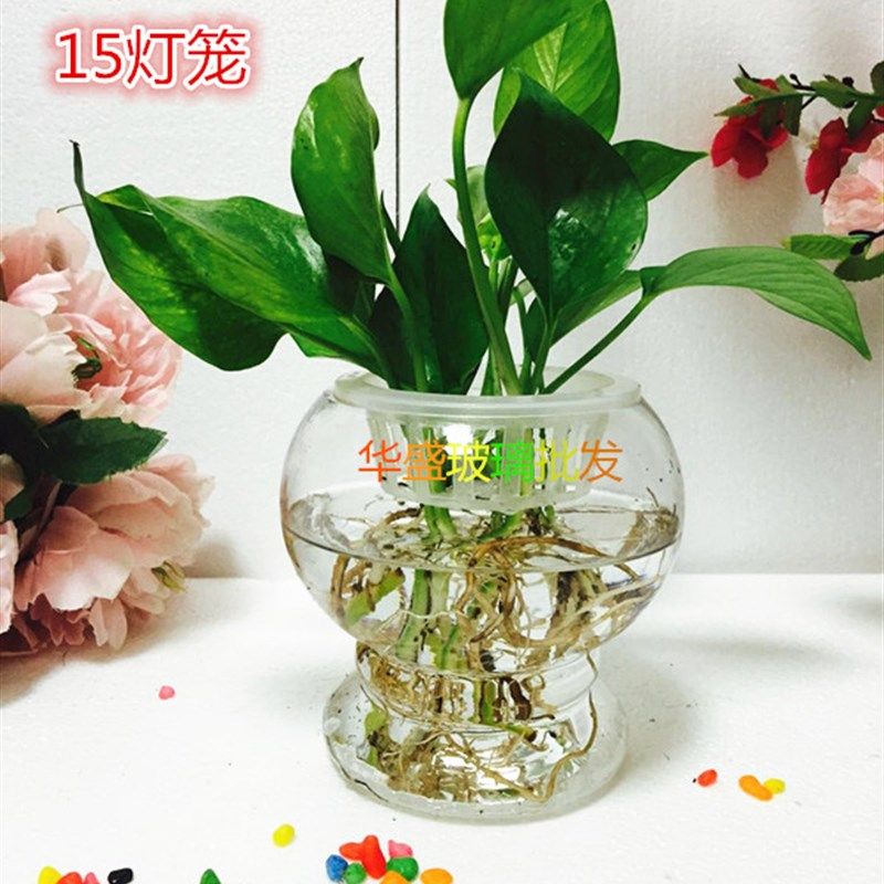 水培简约透明玻璃花瓶绿萝铜钱草创意欧式鱼缸家居饰品花盆包邮