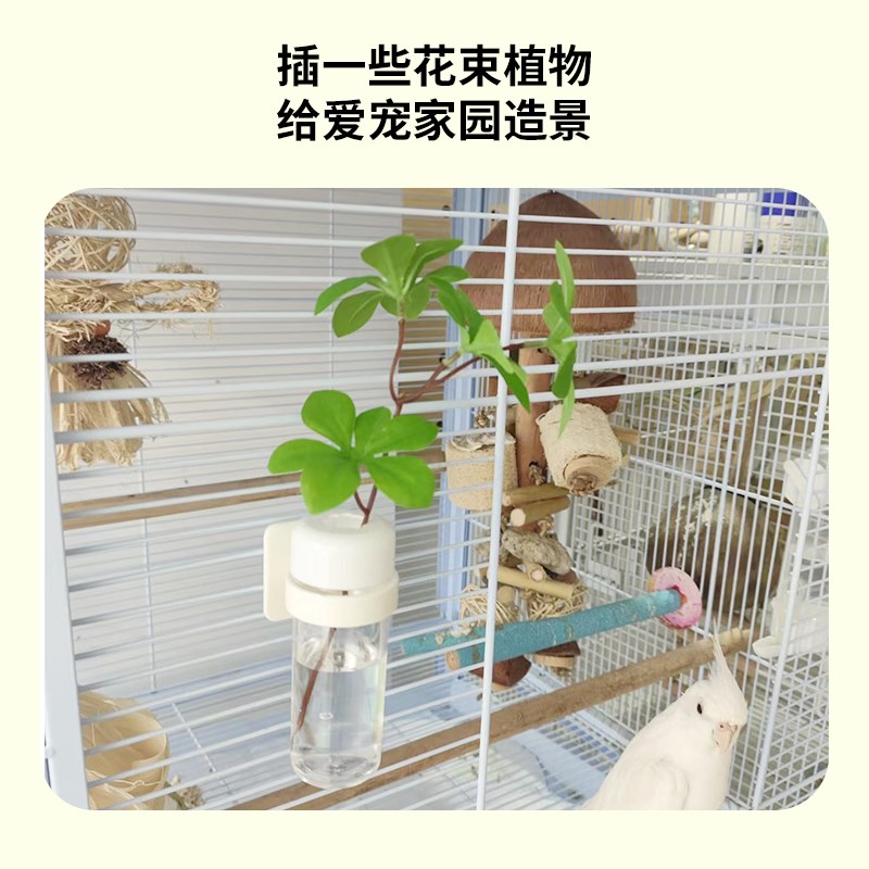 优嗖鹦鹉谷穗夹卡扣玩具磨牙棒固定花瓶多功能蔬菜水果夹鸟笼配件图片