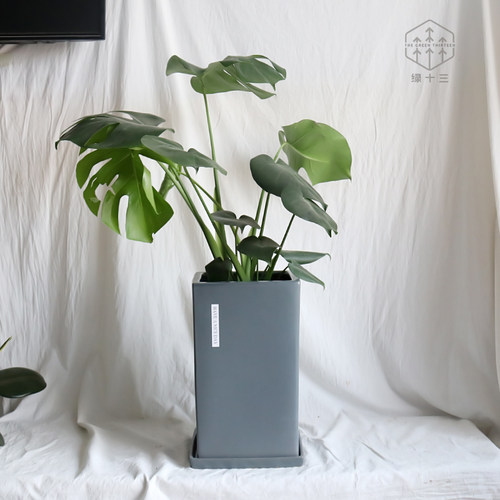 简约哑光高方形陶瓷花盆带托盘北欧风格大号绿植落地花盆虎皮兰盆