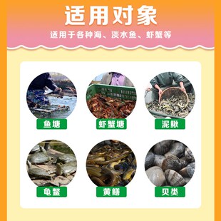 虾青素 水产养殖海洋红酵母鱼虾蟹营养应激保苗育苗诱食亮色促长