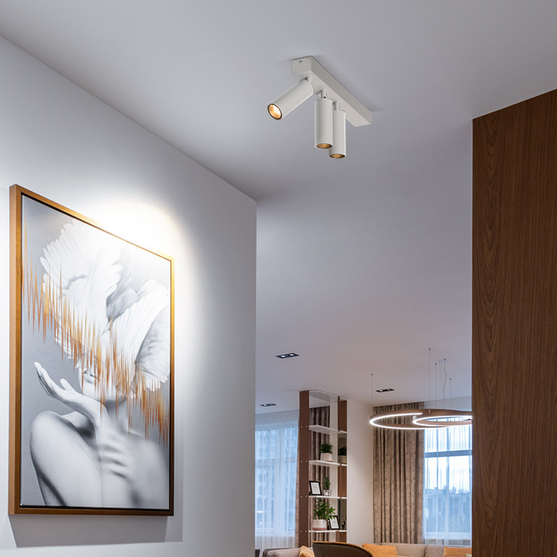 明装射灯双头led吸顶筒灯可调角度家用客厅无主灯三头防眩轨道灯,家装灯饰光源,明装射灯,淘宝优惠券,粉丝福利购,淘宝优惠卷