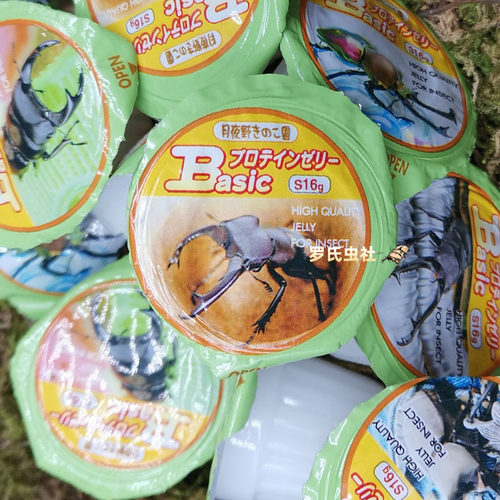 甲虫果冻锹甲独角仙饲料锹形虫花金龟大兜虫营养食物宠物昆虫食材