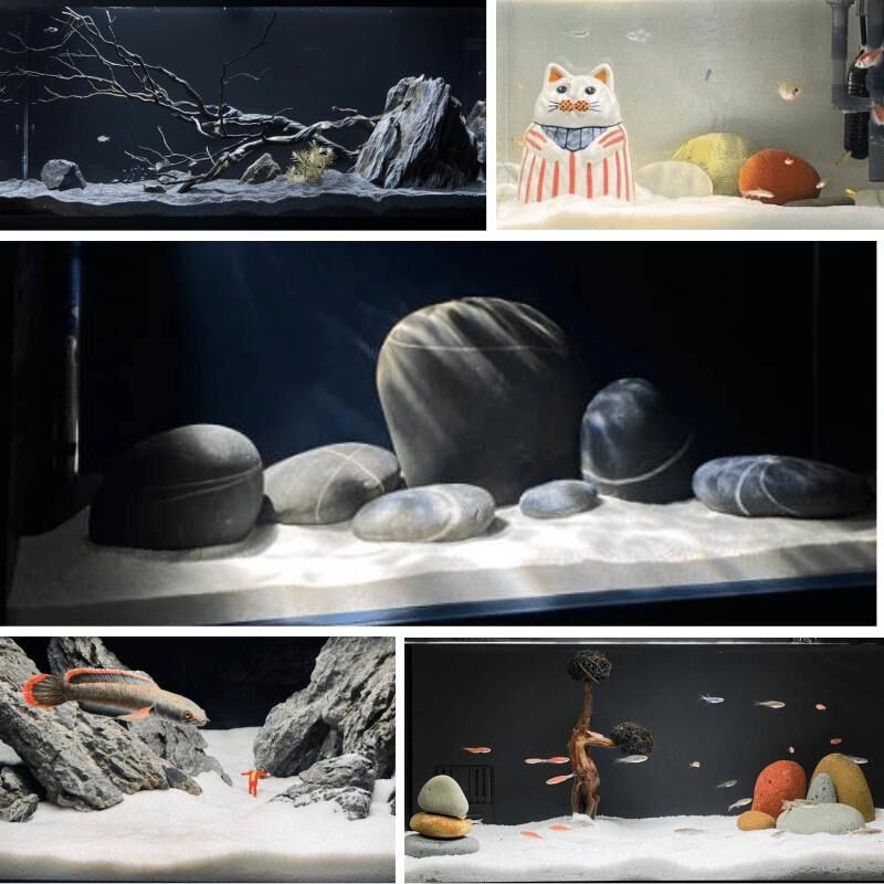 精洗白色石英砂细沙鱼缸造景底砂溪流乌龟缸铺底白沙海沙装饰底砂