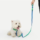 狗狗防水牵引绳中大型犬法斗泰迪柯基通用牵绳