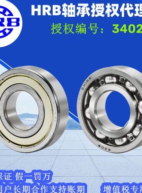 HRB哈尔滨深沟球轴承 6020-2RZ2RS 6020-2Z ZZ开式密封速超静音