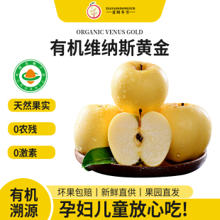 烟台果园直发正宗新鲜 维纳斯黄金 纯甜无酸苹果 有机认证溯源