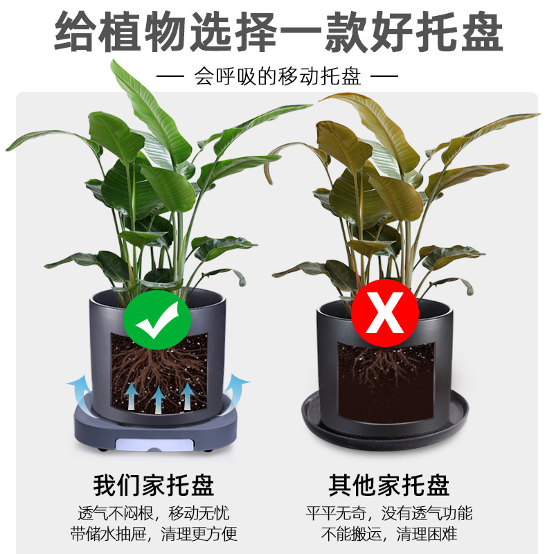移动花盆托盘移动花架花盆小滑轮耐磨加厚家居脚轮万向轮可接水盘,鲜花速递/花卉仿真/绿植园艺,花托/移动托盘,淘宝优惠券,粉丝福利购,淘宝优惠卷