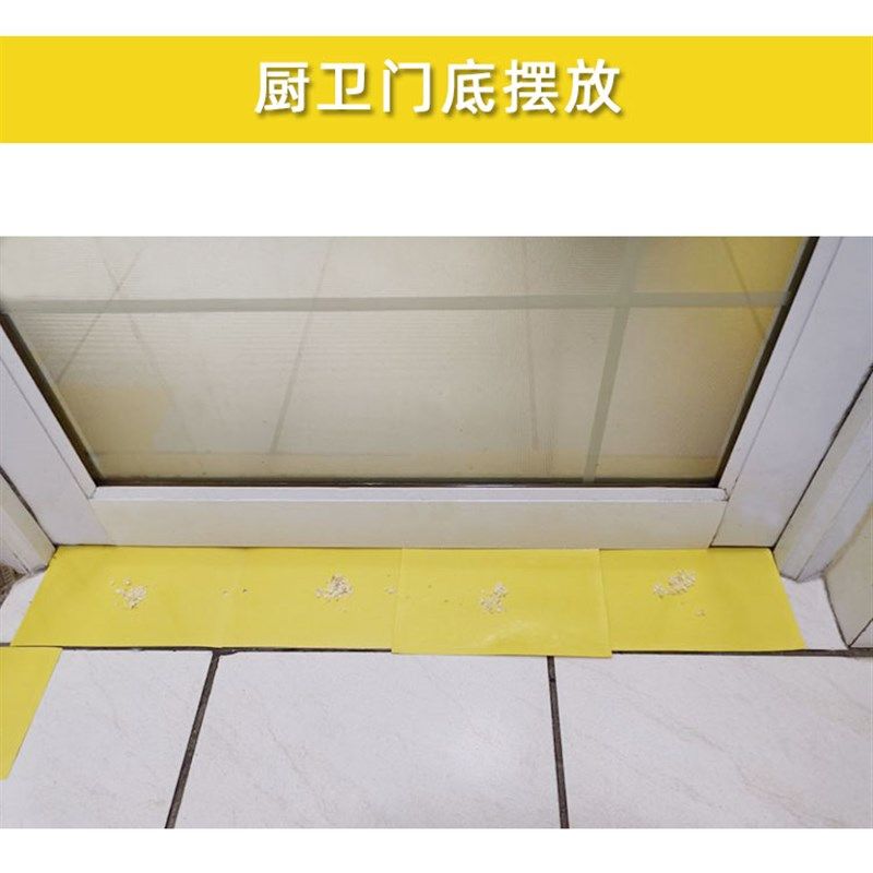 强力粘虫板诱捕杀衣鱼潮虫蠼螋蚰蜒蟑螂米虫药材菸草甲虫步甲皮蠹,居家日用,粘蝇纸,淘宝优惠券,粉丝福利购,淘宝优惠卷