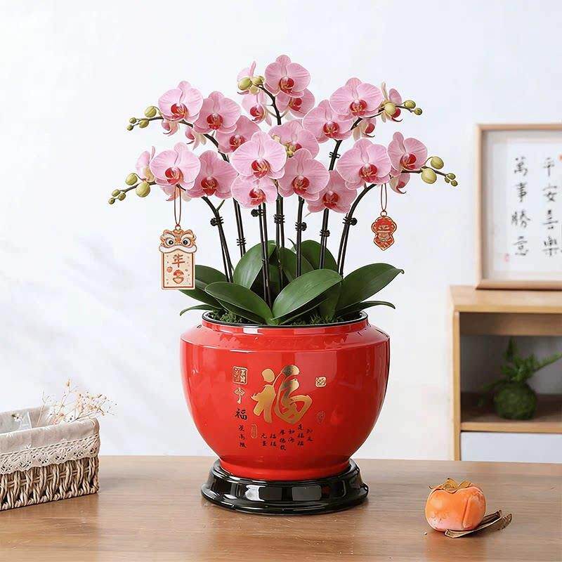 轻奢复古风陶瓷花盆大号接水托盘底座阳台客厅家用蝴蝶兰陶瓷花盆