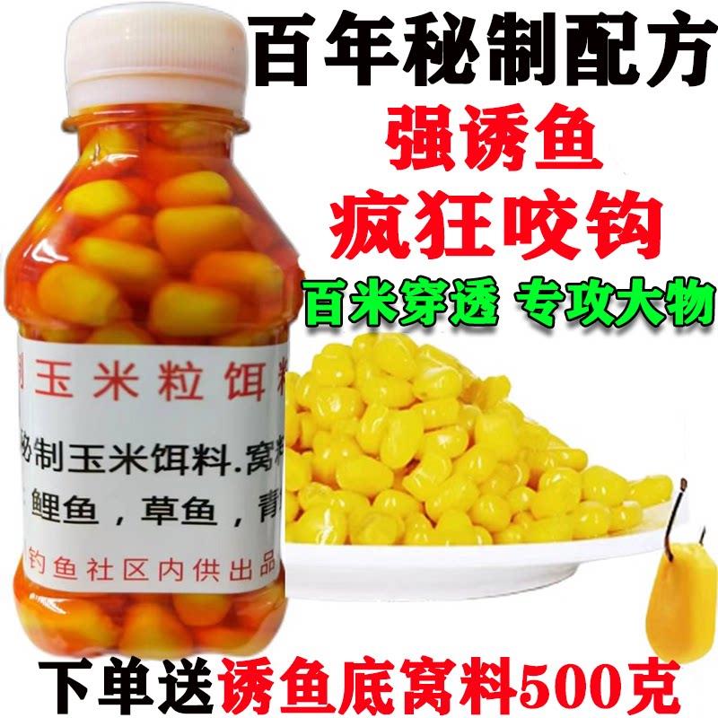 秘制钓鱼嫩玉米粒鱼饵颗粒饵料专攻黑坑野钓鲤鱼草鱼青鱼饵料窝料