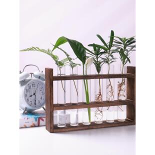 水培试管木制玻璃花瓶水培养绿色植物插花植物容器简单的木制框架