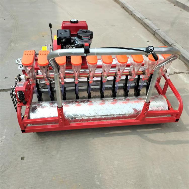 蔬菜种子播种机娃娃菜菜心葱雪里红多行数精播机